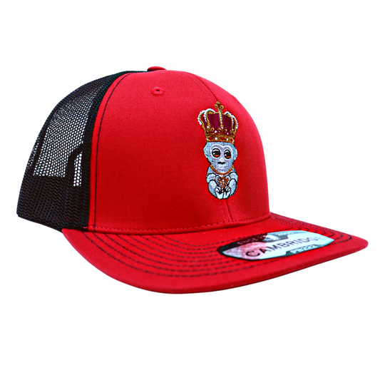 The Designer Ape Mesh Snapback
