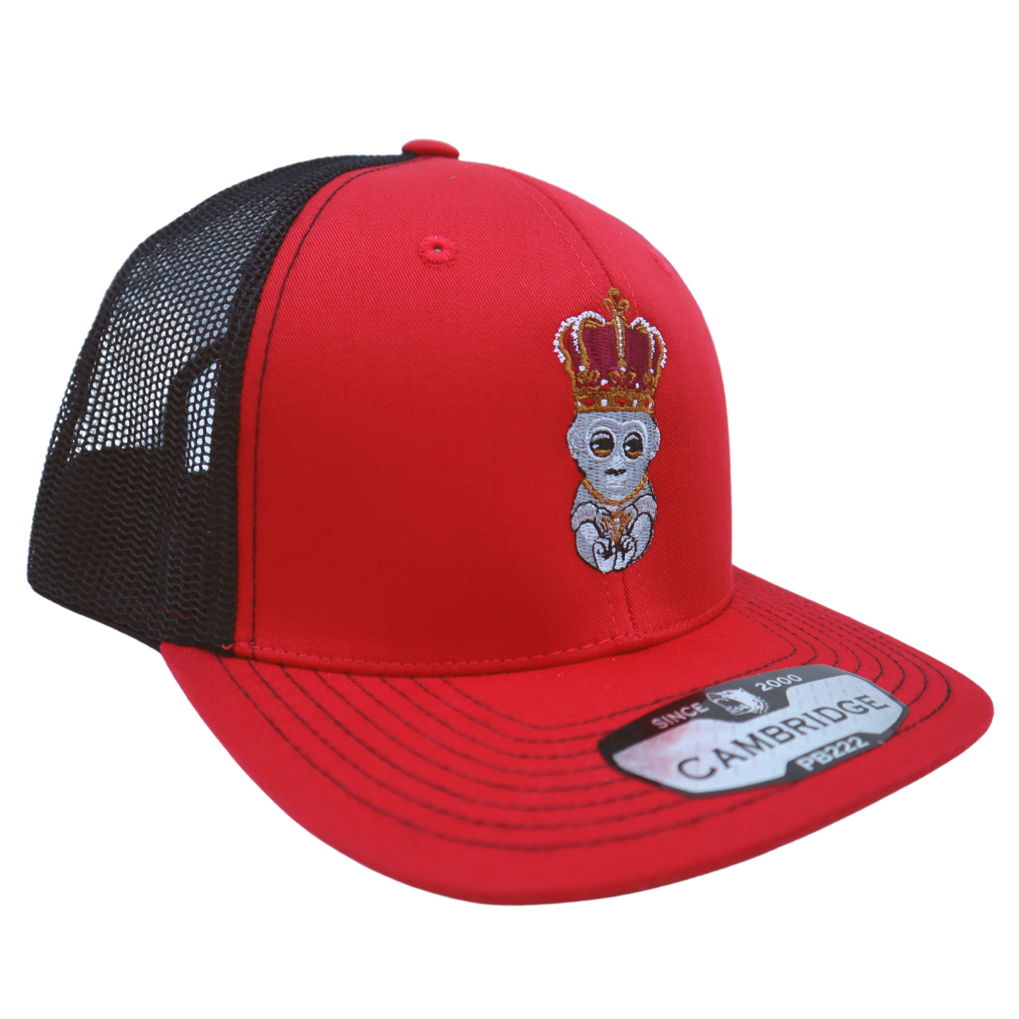 The Designer Ape Mesh Snapback